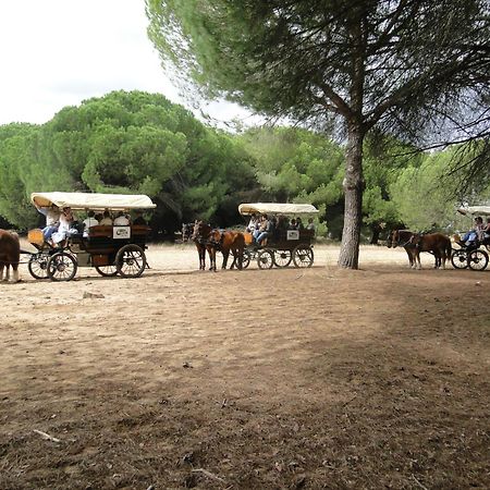 Ardea Purpurea Ξενοδοχείο Villamanrique De La Condesa Εξωτερικό φωτογραφία
