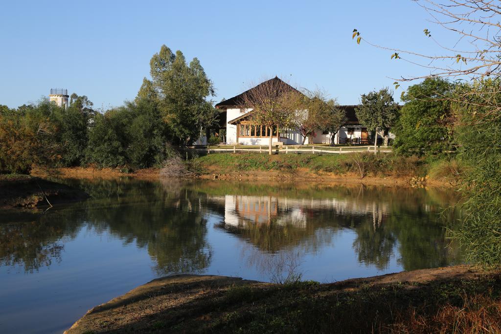 Ardea Purpurea Ξενοδοχείο Villamanrique De La Condesa Εξωτερικό φωτογραφία