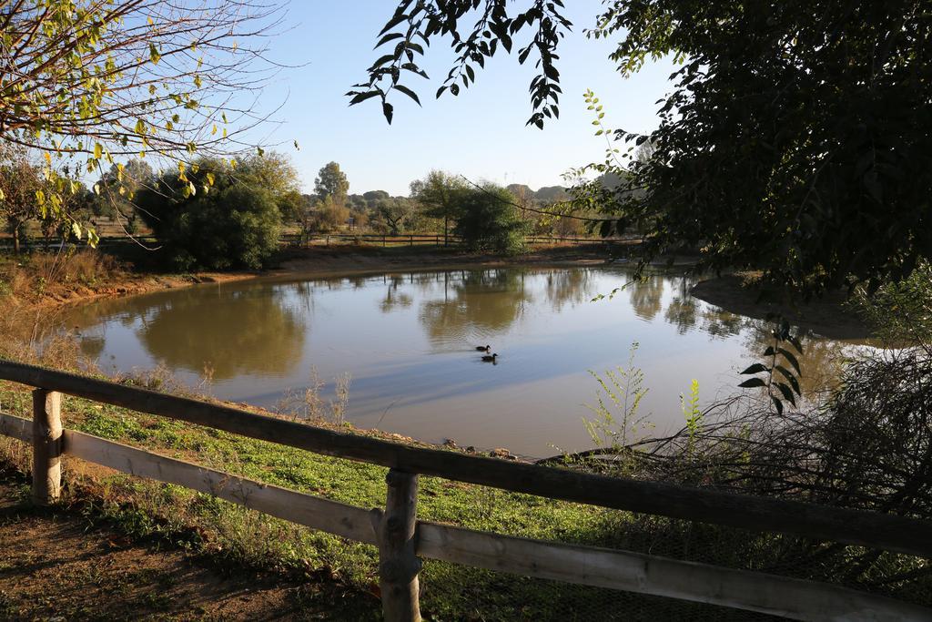 Ardea Purpurea Ξενοδοχείο Villamanrique De La Condesa Εξωτερικό φωτογραφία