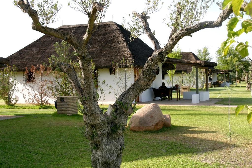 Ardea Purpurea Ξενοδοχείο Villamanrique De La Condesa Εξωτερικό φωτογραφία