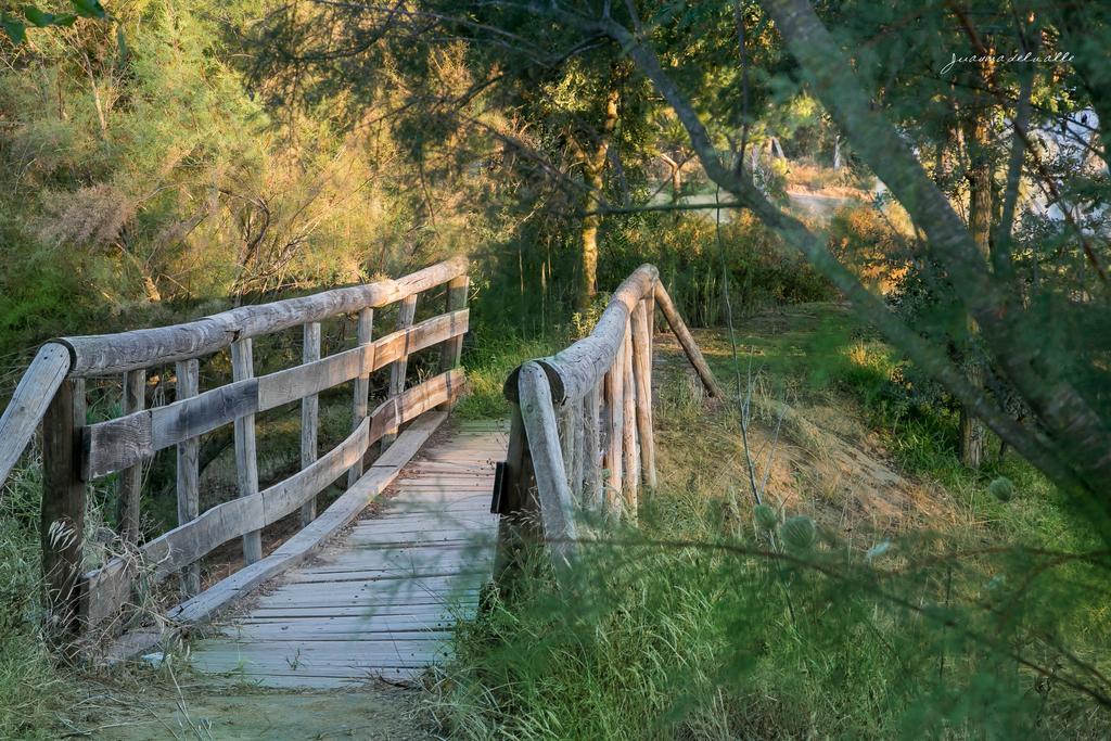 Ardea Purpurea Ξενοδοχείο Villamanrique De La Condesa Εξωτερικό φωτογραφία