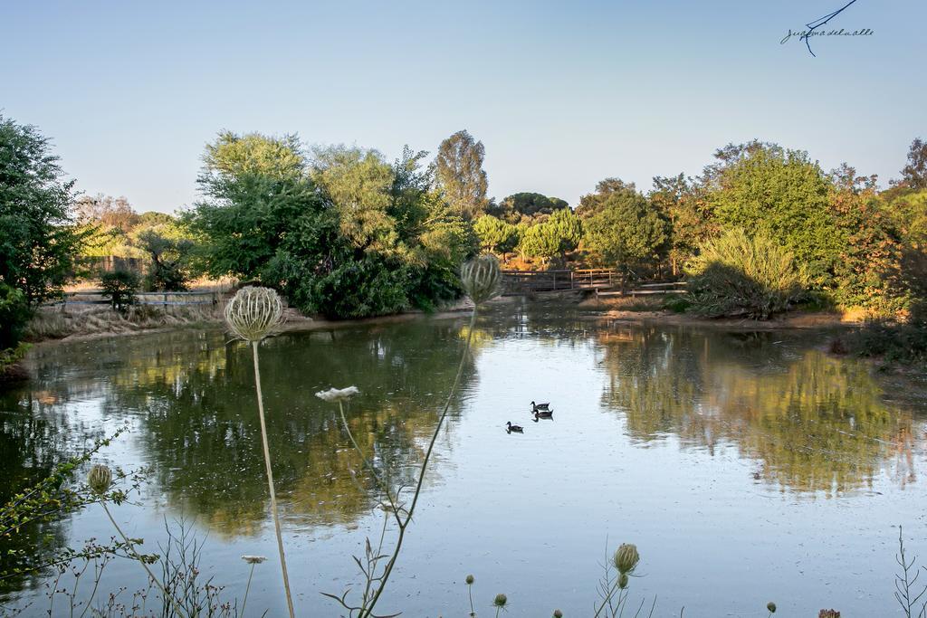 Ardea Purpurea Ξενοδοχείο Villamanrique De La Condesa Εξωτερικό φωτογραφία