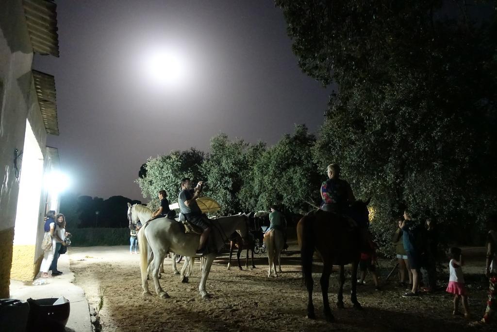 Ardea Purpurea Ξενοδοχείο Villamanrique De La Condesa Εξωτερικό φωτογραφία