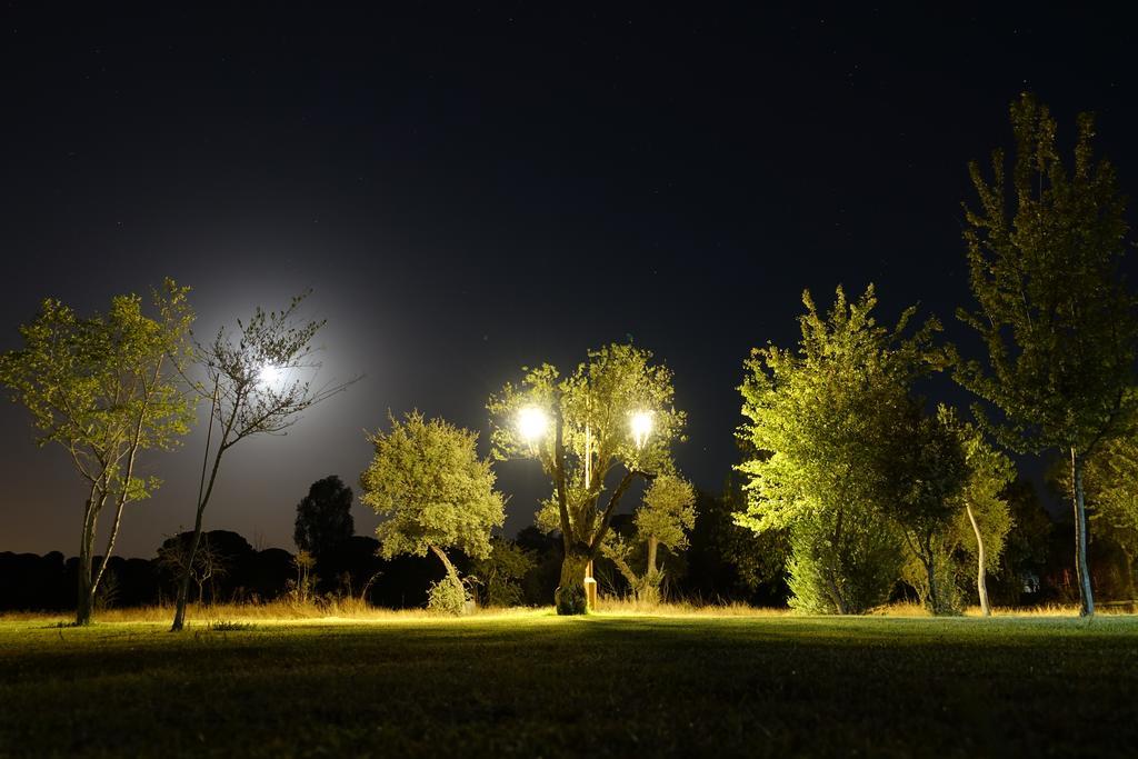 Ardea Purpurea Ξενοδοχείο Villamanrique De La Condesa Εξωτερικό φωτογραφία