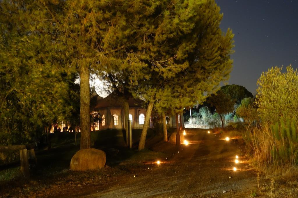 Ardea Purpurea Ξενοδοχείο Villamanrique De La Condesa Εξωτερικό φωτογραφία